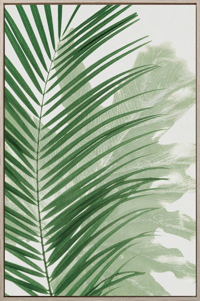 Exotic Palm Leaf Artwork